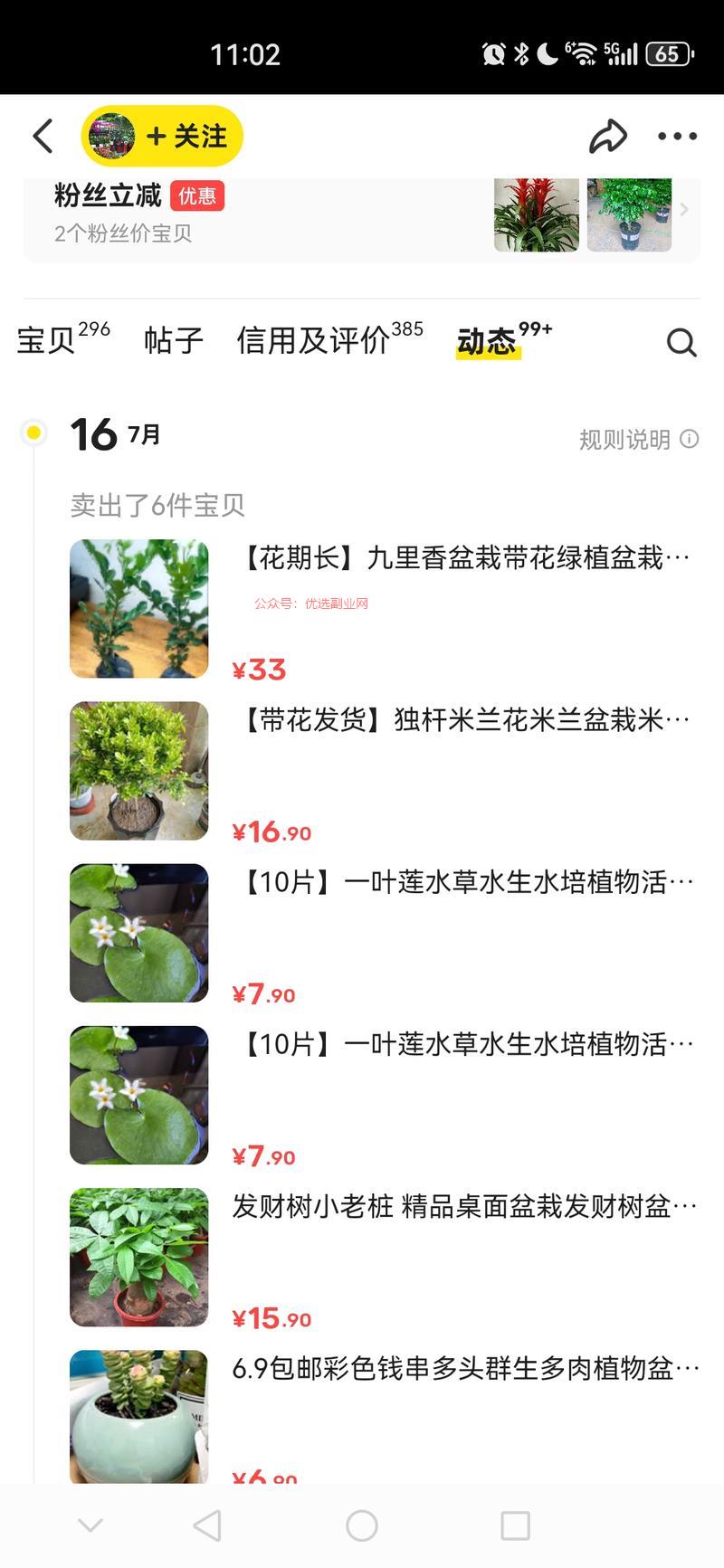 闲鱼卖绿植，高客单也能…#情报-搞钱情报论坛-网创交流-优选副业网